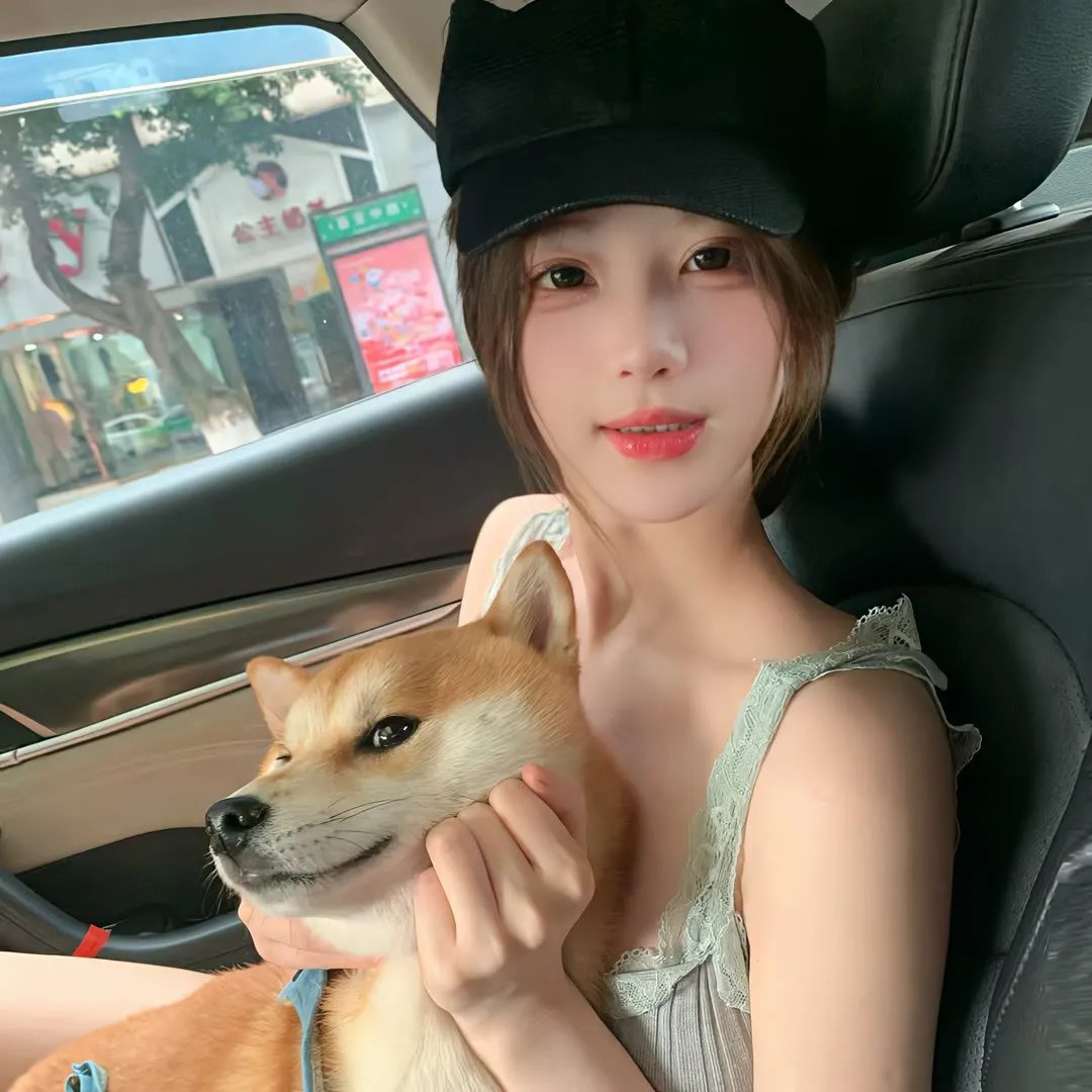 总统的危机